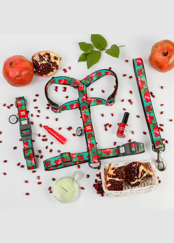 Ошейник для собак нейлоновый Nylon с QR паспортом, рисунок "Гранаты", пластиковый фастекс,, Ш 25 мм, Длин 33-49 см WAUDOG (322002769)