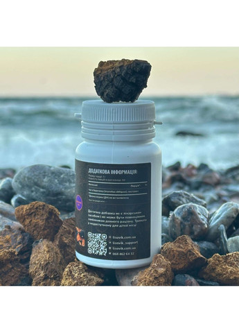 Чага березовая, экстракт 10:1, молотый 50 г Лісовик (334711153)