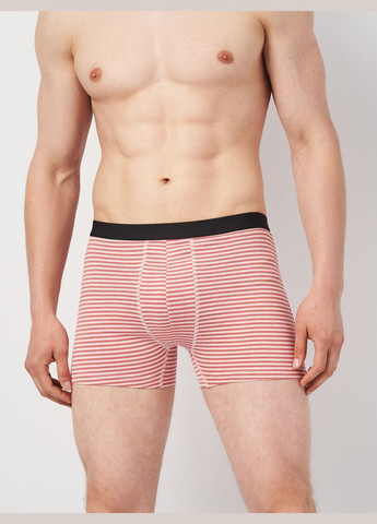 Труси (3шт) Basic Collection (295079751)