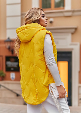 Демісезонний жилет No Brand (304428599)