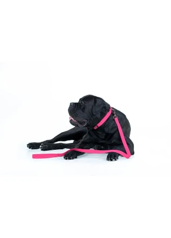 Поводок для собак водостойкий WAUDOG Waterproof,, Ш 15 мм, Дл 183 см Collar (382346706)