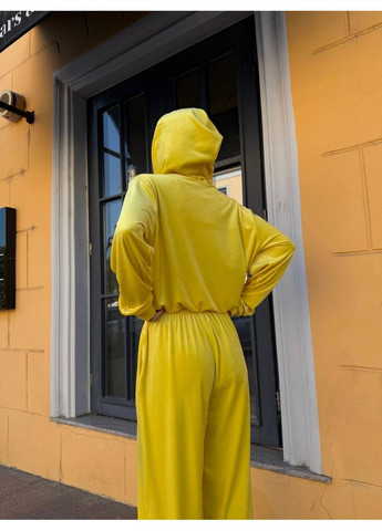 Жіночий спортивний костюм з велюру: кофта на блискавці та широкі штани з високою посадкою MonCher (353689641)