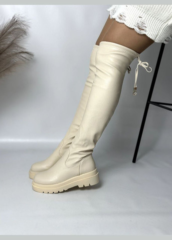 Бежевые осенние стильные женские ботфорты No Brand