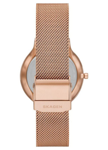 Женские наручные часы Skagen SKW3020 (321941325)