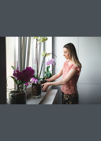 Торфосмесь для орхидей SANA® 5л (A013942) Compo (315150279)