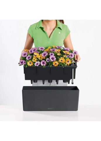 Кашпо Balconera Color 50 12 л 15696 Lechuza (364555021)