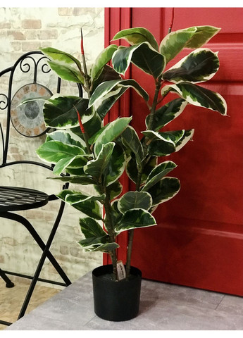 Фікус різнокольоровий SGH Еластіка Беліз (Belize) штучний 95 см HVOYA (370439104)