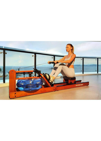 Гребний тренажер 6205 Vigor (369650186)