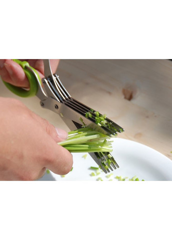 Ножиці для зелені 5 лез із нержавіючої сталі зелені кухонні ножиці для нарізки трав та зелені ProDobro (365440520)