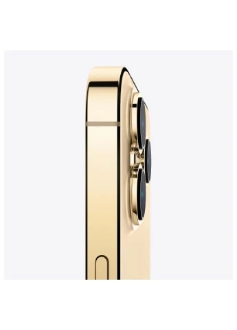 Мобильный телефон (iP13Pr1TGol_A) Apple iPhone 13 Pro 1Tb Gold (Grade A) USED (399996032)