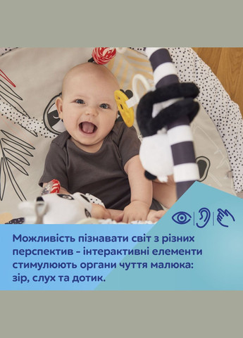 Розвиваючий килимок BabiesBoo з дзеркалом, сірий () Canpol Babies 68/092 (328395374)