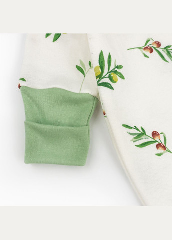 Чоловічок начісний для немовлят на блискавці з гілочкою оливи Olive dexter's (365578912)