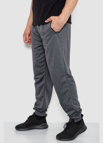 Темно-серые спортивные демисезонные брюки Ager