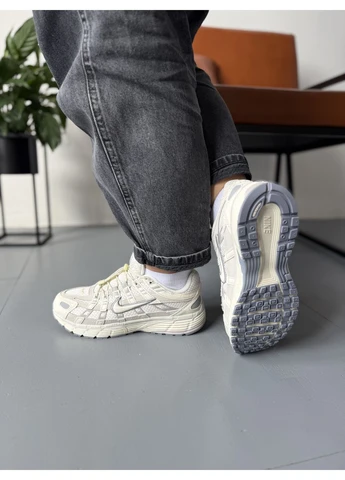 Серые демисезонные кроссовки мужские nike p-6000 beige grey violet найк п-6000 серые No Brand
