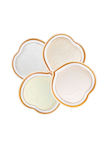 Набор хайлайтеров для лица, 12 штук Warda Beauty (302965200)