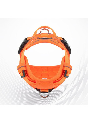 Шлей для собак No Brand (362136386)