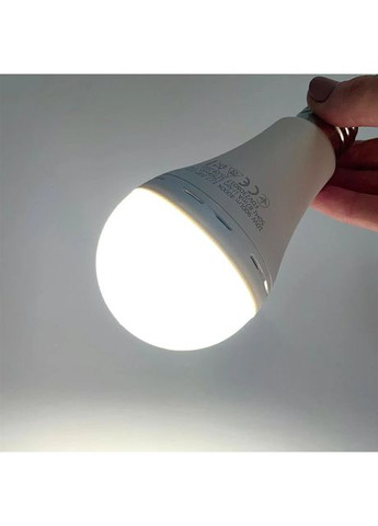 Лампа ALMINA DL 020 акумуляторна аварійна в патрон Е27, вбудований акумулятор на 3 год роботи Po Fanu (372017501)