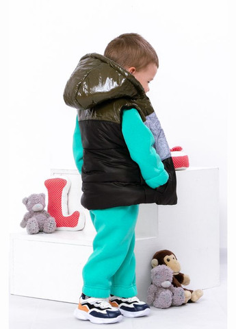 Зеленый демисезонный жилетка для мальчика (p-12153) Носи своє