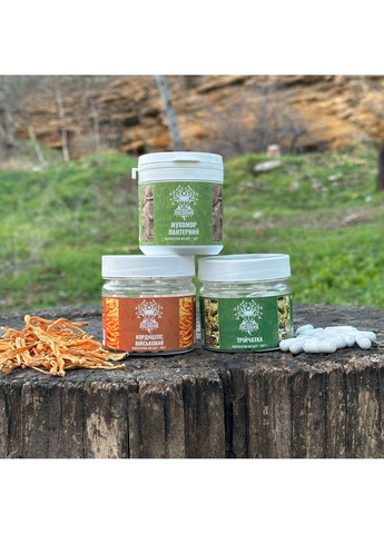 Курс Детокс перезавантаження тіла та розуму (1 місяць) Лісовик (364210612)