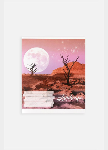 Тетрадь школьная в линию цвет разноцветный ЦБ-00255167 Фабрика Поліграфіст (307362235)