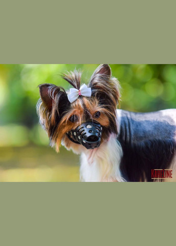 Намордник из натуральной кожи для малых пород собак размер М Kareline (339075563)