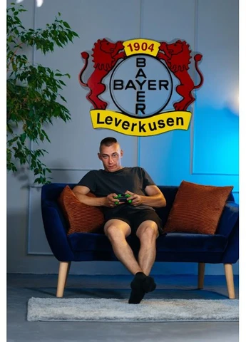 Деревянное панно на подарок Bayer 85х70 см Decart (360610598)