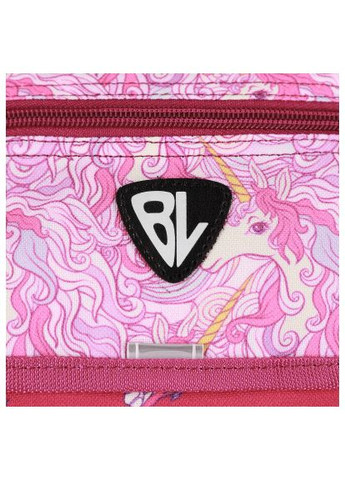 Рюкзак школьный BL Отличник 20 л. Малиновый 888 (00058070) (1123921618) Bagland BL Відмінник 20 л. Малиновий 888 (00058070) (366644944)