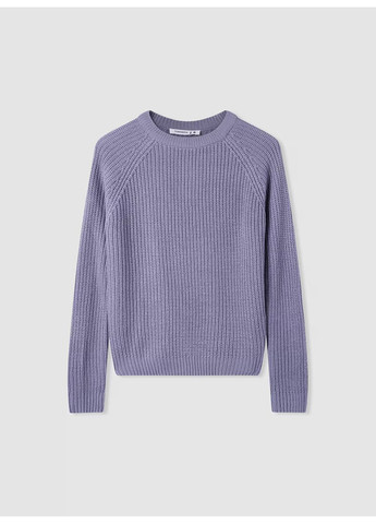 Бузковий зимовий светр жін Terranova