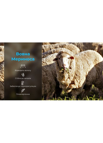 Носки водонепроницаемые Hytherm Pro Socks, размер (43-46), черные с коричневой полосой (A-017181) DexShell (319391125)