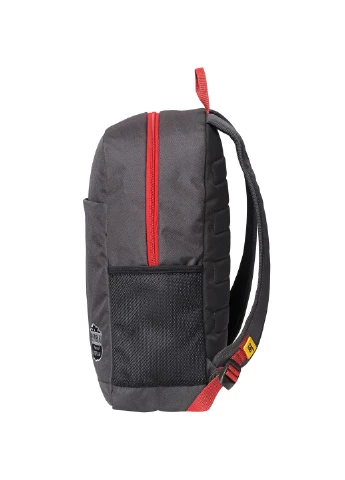 Рюкзак повсякденний Mochilas rPET Red 20L (84066;155) Cat (379304650)