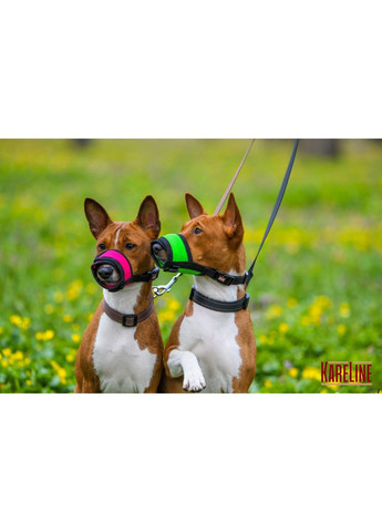 Намордник сетка из нейлона для стаффордширского терьера размер ХL Kareline (370162305)