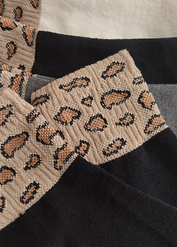 Комбіновані шкарпетки жіночі широка гумка 6 пар ws 254/6 р.36-40 XTeam анімалістичні (351581644)