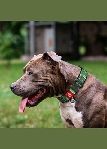 Нашийник для собак нейлоновий Nylon з QR паспортом, малюнок "Етно зелений", металева пряжка-фастекс,, Ш 35 мм, Д 46-70 см WAUDOG (322002839)