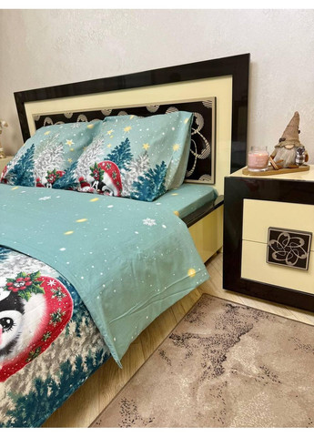 Постельное белье новогоднее Двуспальное Пакистанская байка 180 x 220 см 4690 Зеленая 70 х 70 см No Brand (362202653)