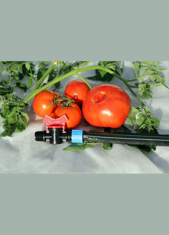 Кран шаровый с наружной резьбой 1/2 дюйма - упаковка 50 штук (TV-0117) Presto-PS (293346866)