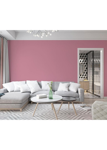 Краска интерьерная латексная 2030-R20B 5 л SkyLine (289364725)