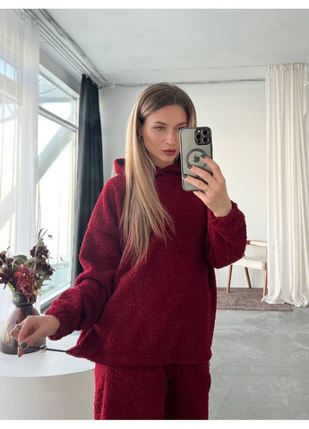 Стильний жіночий костюм з капюшоном Україна (361129841)