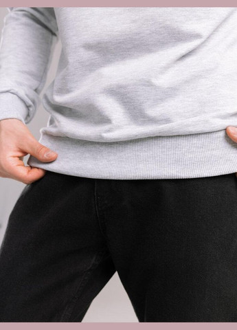 Светло-серый базовый мужской свитшот однотонный светло-серая однотонный без декора (345647928)