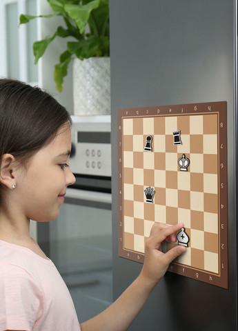 Шахматы демонтрационные на магнитном коврике 50х50см No Brand (302245401)