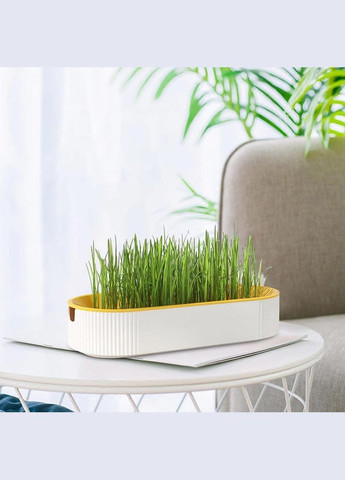 Лоток для гідропонного вирощування мікрозелені та розсади овальний жовтий (NR0136_1) No Brand (303898435)