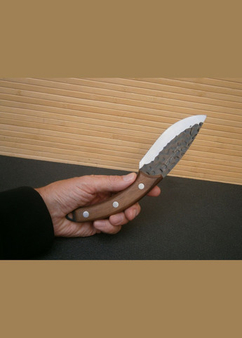 Ніж кухарський Sonmelony Chef small RT-21 фултанг 24 см No Brand (302391920)