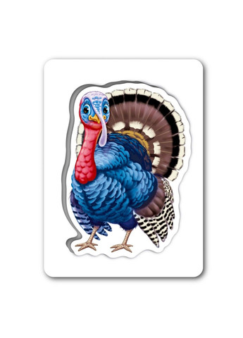 Дитяча розвиваюча гра "Пізнаємо з народження: На подвір'ї" 264014, 8 карток Ranok Creative (360768003)