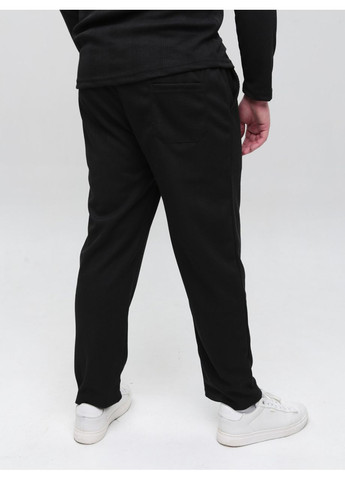 Черные спортивные демисезонные брюки Wise