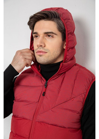 Жилетка мужская демисезонная, 244RC666 Ager (369506912)