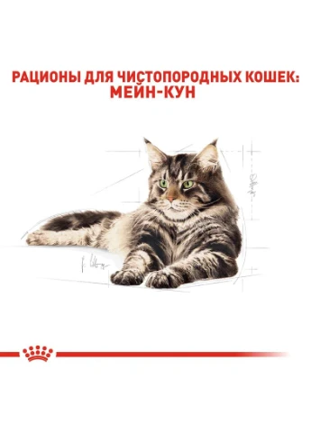 Maine Coon Adult (Роял Канин Мейн Кун Эдалт) сухой корм для кошек породы мейн-кун от 15 месяцев 2 кг. Royal Canin (297511946)