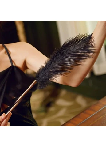 Набор из 2 перышек,Natural Peacock Flirting Feather Tickler Lockink (284120329)