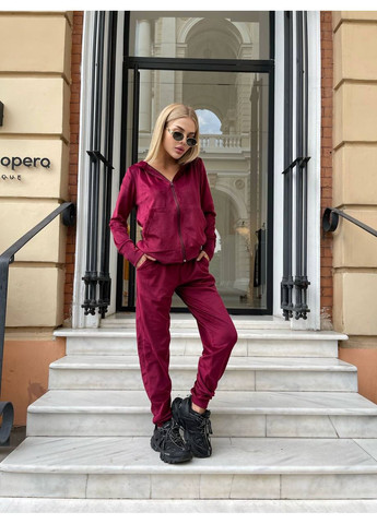 Женский велюровый костюм двойка Fashion (361269071)