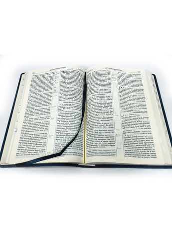 🇺🇦 Библия в современном переводе УБТ, (17х24 см), зам. кожи, индексы Українське Біблійне Товариство (316451548)