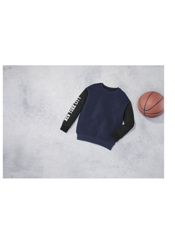 Pepperts свитшот с принтом для мальчика lidl 431070 темно-синий темно-синий