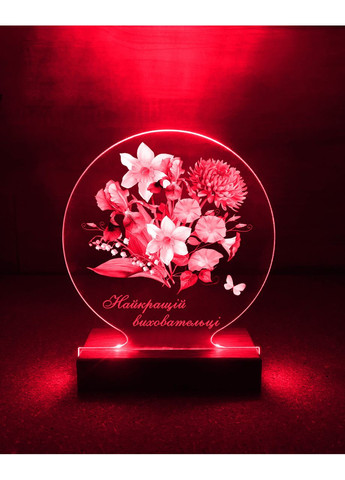 Нічник Найкращій виховательці (принт 95) CASE CONTROL (355399891)